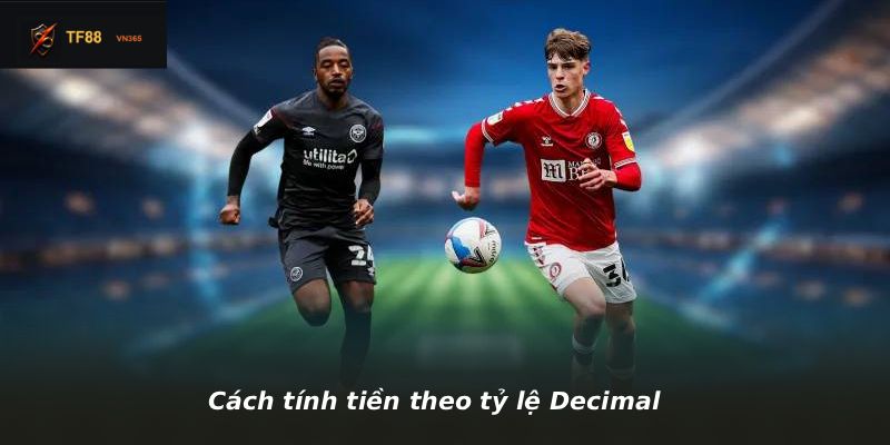 Cách tính tiền theo tỷ lệ Decimal