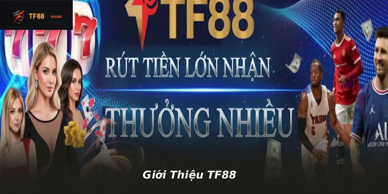 Giới Thiệu TF88