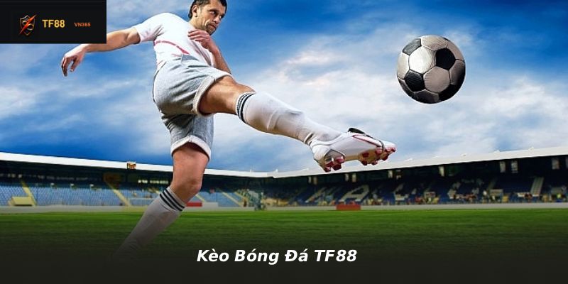 Kèo Bóng Đá TF88
