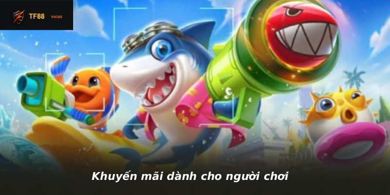 Khuyến mãi dành cho người chơi