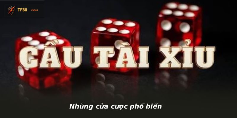 Những cửa cược phổ biến